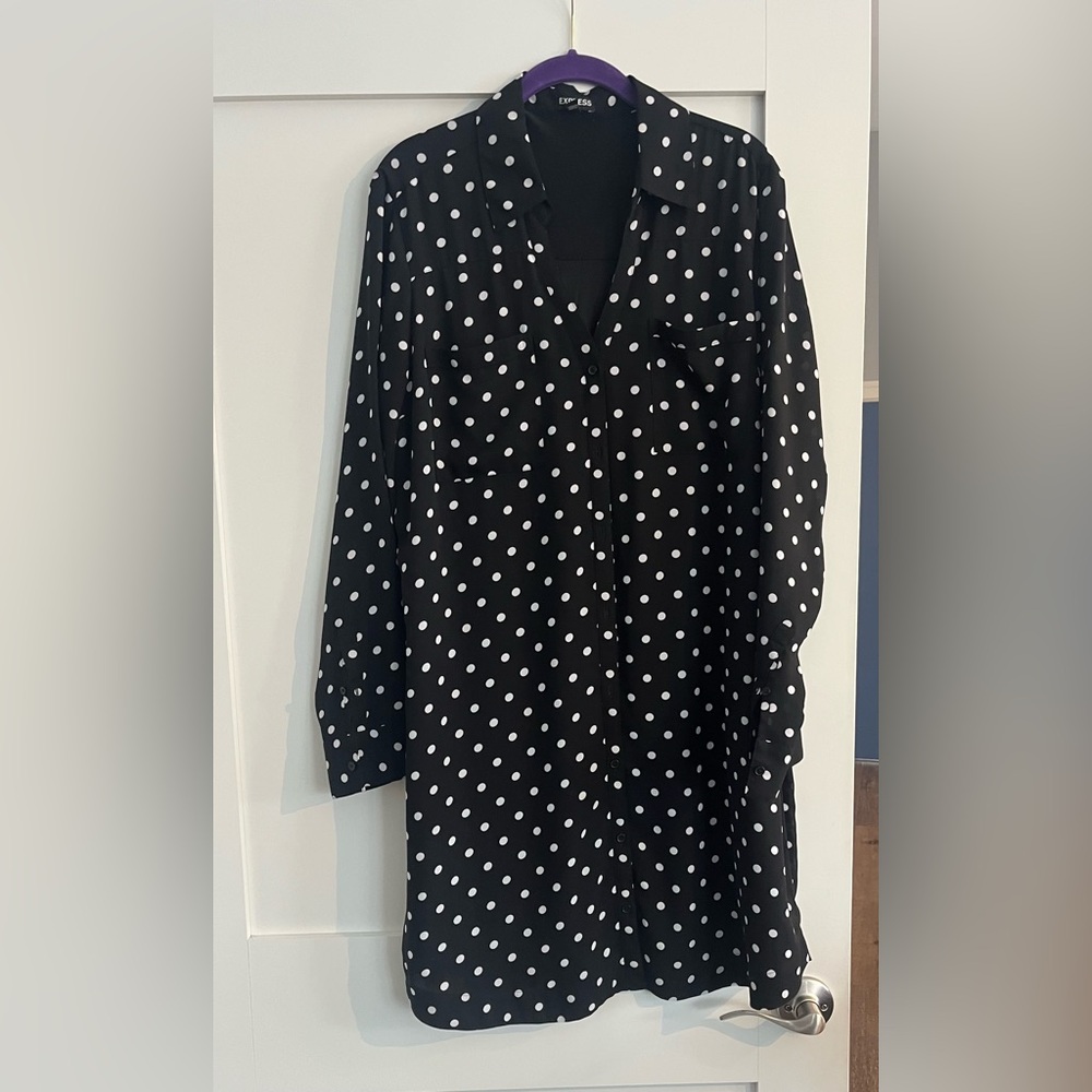 Express Polka Dot Shift Dress XL